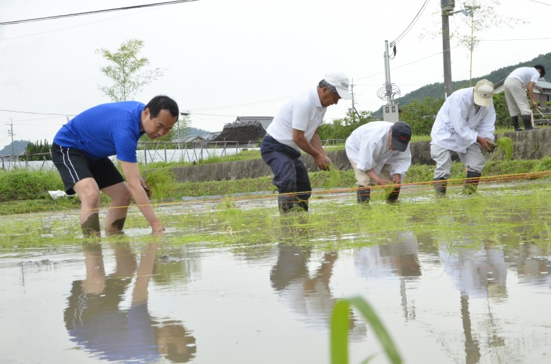 日吉神社田植え
