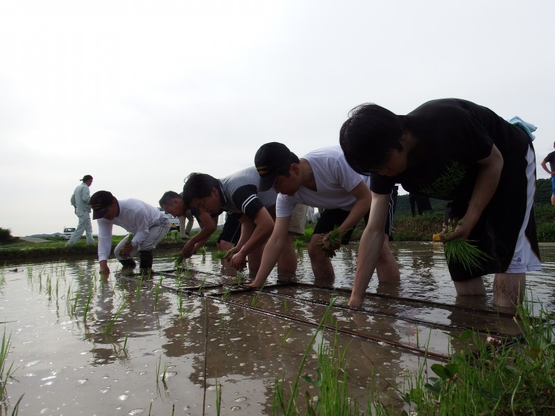 別所町田植え手植え